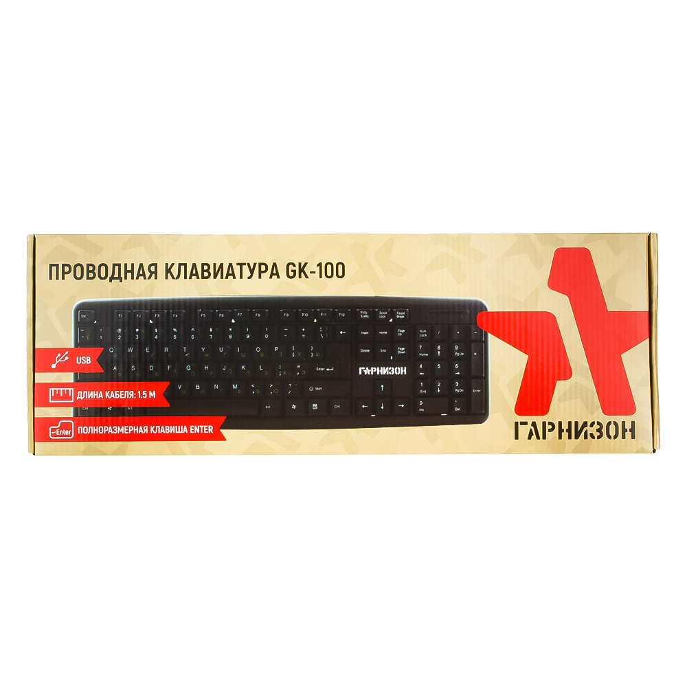 Клавиатура Гарнизон GK-100 black, USB