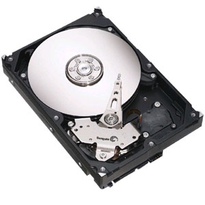 Жесткий диск 250 Gb Seagate ST3250318AS Barracuda 7200.12 8Mb SATA-II