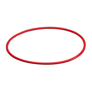 Прокладка резиновая Olympus O-Ring for PT-018