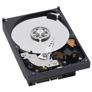 Жесткий диск 1 Tb WD WD10EARS 64Mb SATA II