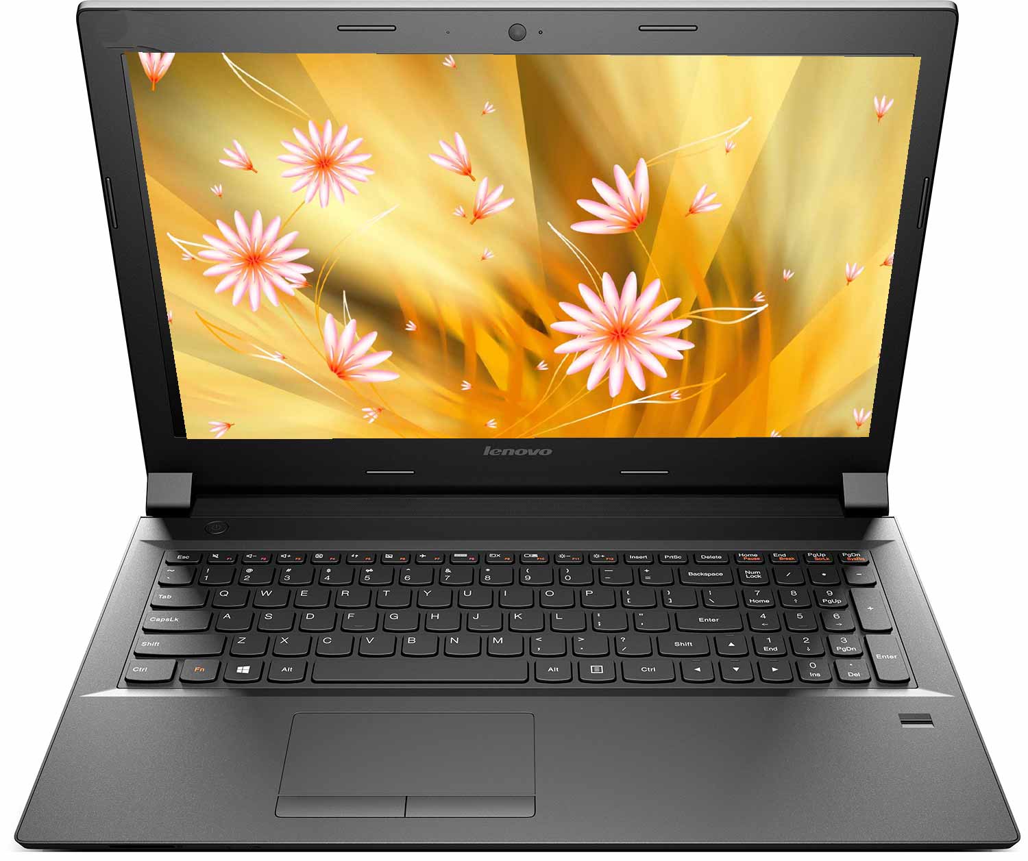 Купить Ноутбук Lenovo Ideapad B5045 15.6