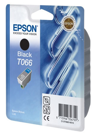 Картридж Epson T066 черный  (C13T06614010)
